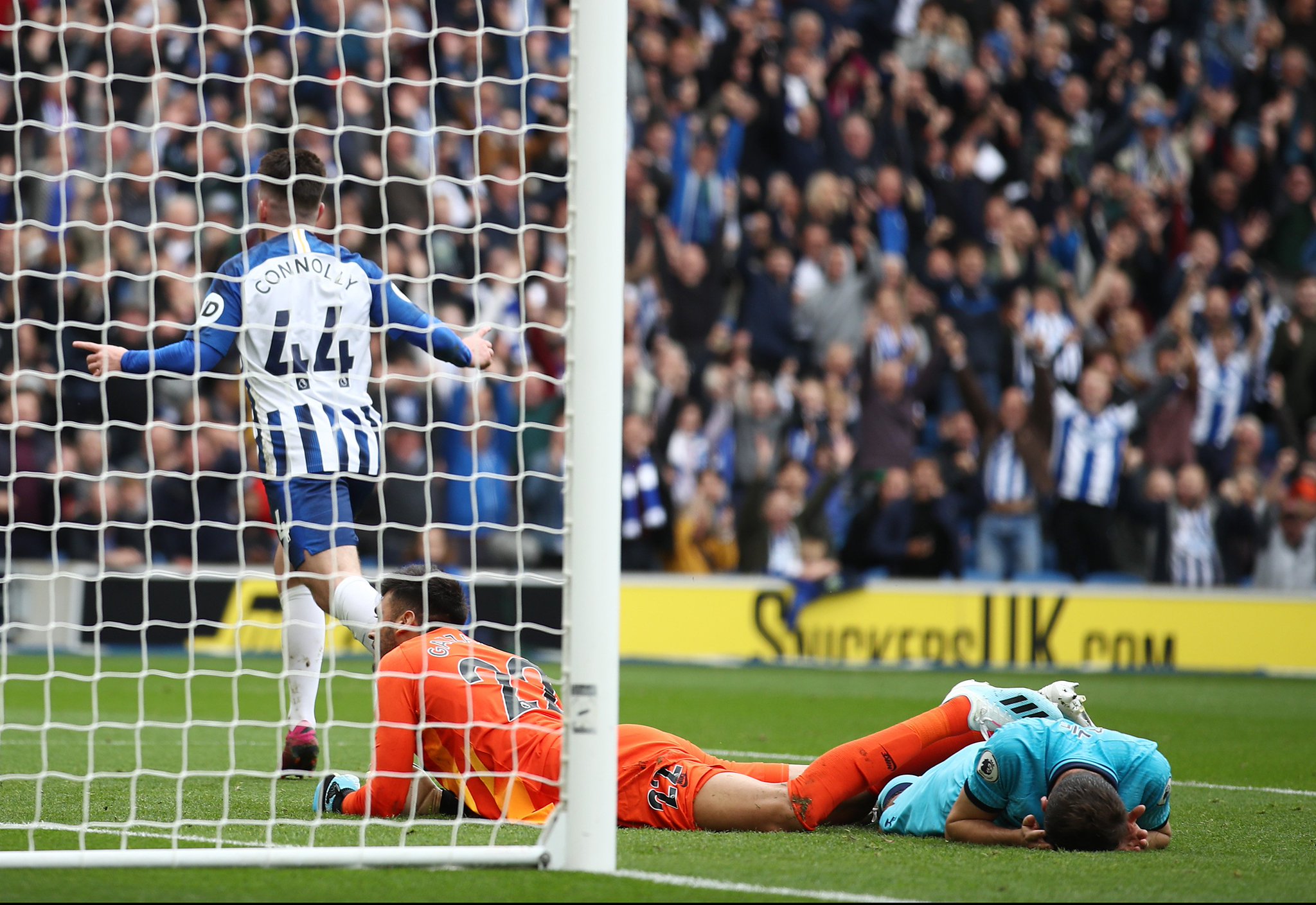 探讨新版人 探讨新版人